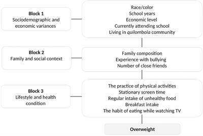 Overweight in Rural Quilombola and Non-quilombola Adolescents From the Northeast of Brazil